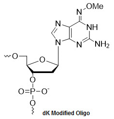 Bio-Synthesis Inc. Oligo Structure